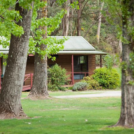 Beechworth Holiday Park Bagian luar foto