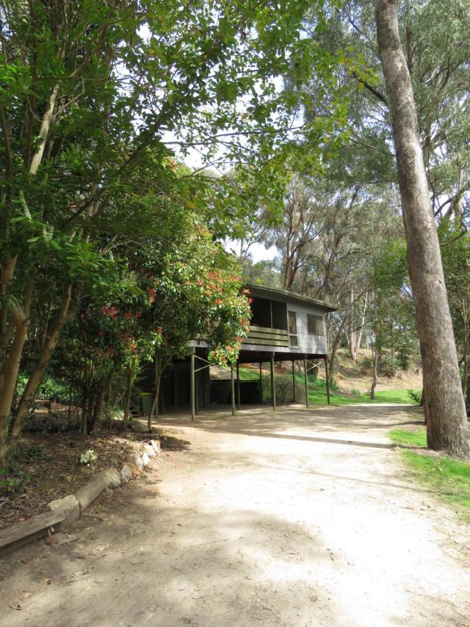 Beechworth Holiday Park Bagian luar foto