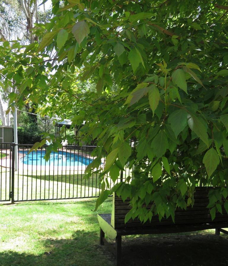 Beechworth Holiday Park Bagian luar foto