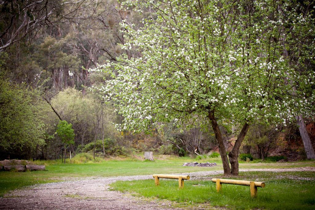 Beechworth Holiday Park Bagian luar foto