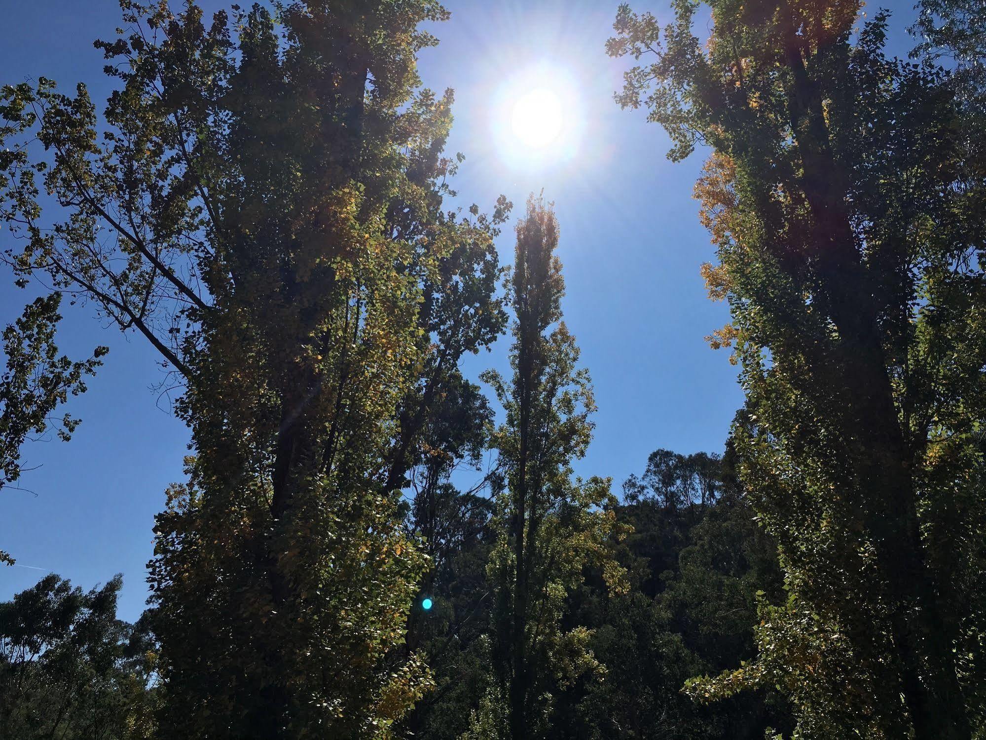 Beechworth Holiday Park Bagian luar foto